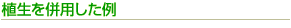 A𕹗p
